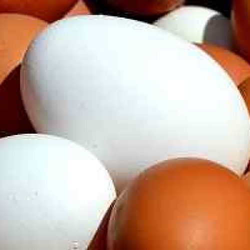 Kalorier I Et Stekt Egg