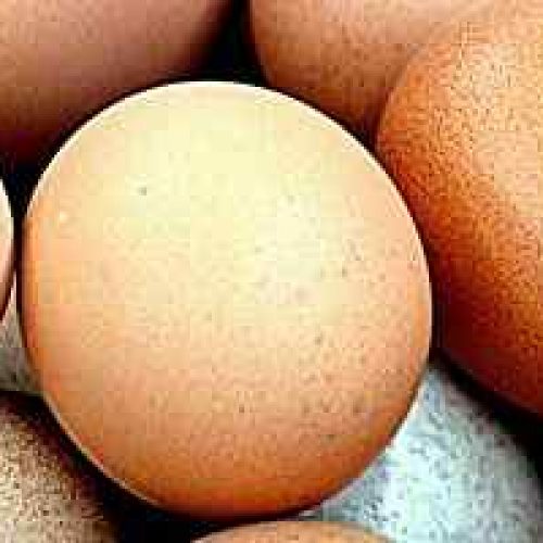 Hvor Mange Kalorier I Et Egg